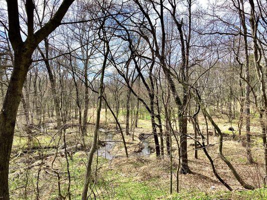 Hildacy Preserve - Natural Lands