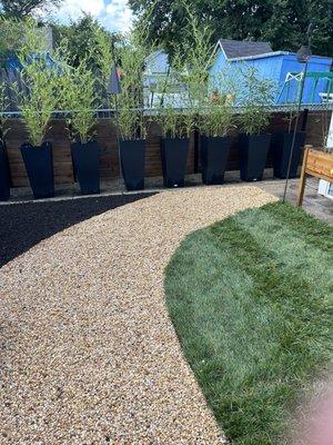 stone path, grass and mulch.