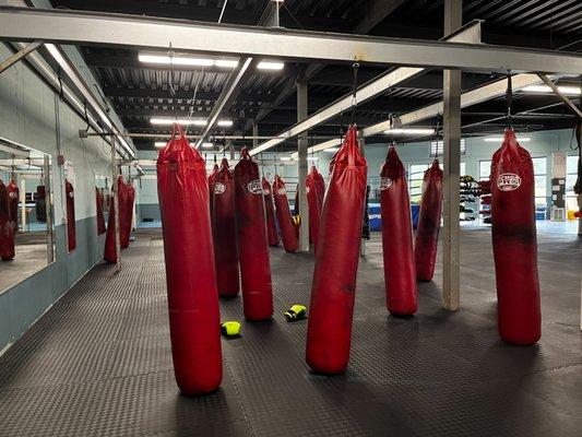 Heavy bags for Muay Thai and boxing.