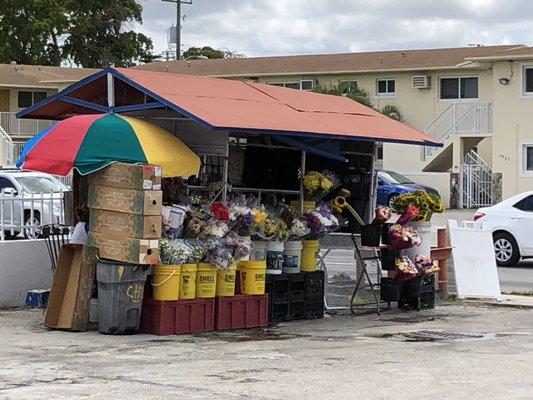 Flowers for sale