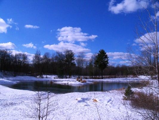 Blue Horizon Pond in Winter