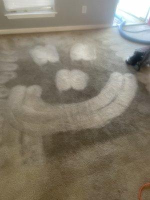 Happy Carpet!