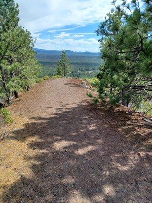 View from the Lava Butte loop trail.