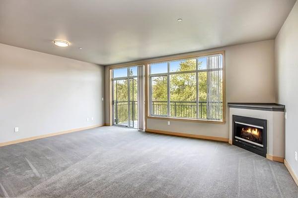 Modern 1 Bedroom Living Room with Fireplace