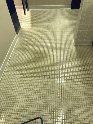 Tile & Grout Cleaning