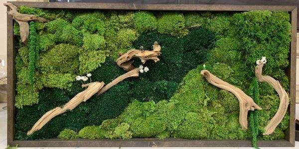 Moss wall frame