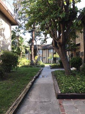 Entrance from the driveway to the units