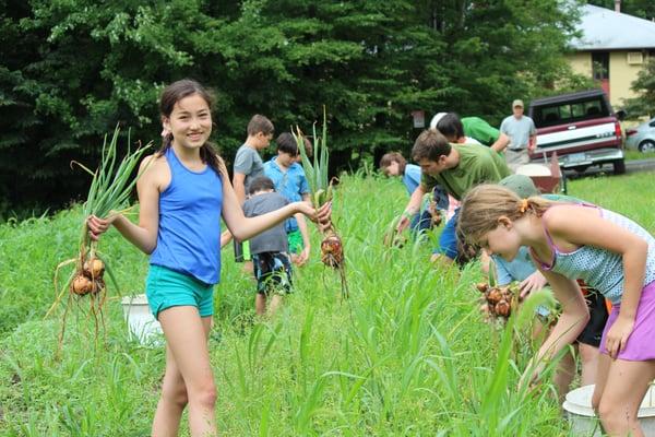 Nature Place Day Camp