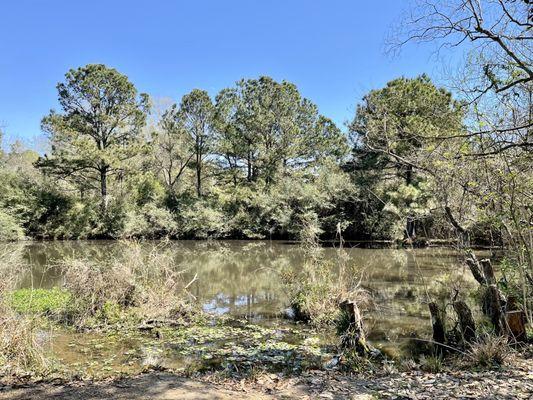 Seabrook Wildlife Refuge and Park