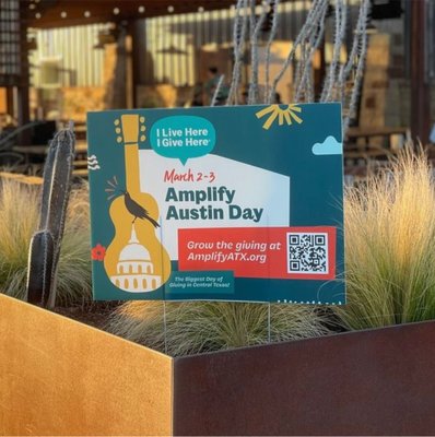 Branding and graphic design for I Live Here I Give Here's annual Amplify Austin Day campaign