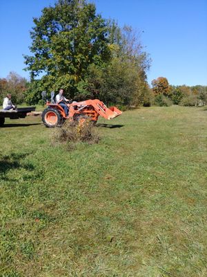 FREE Tractor rides!! My nephew loved this.