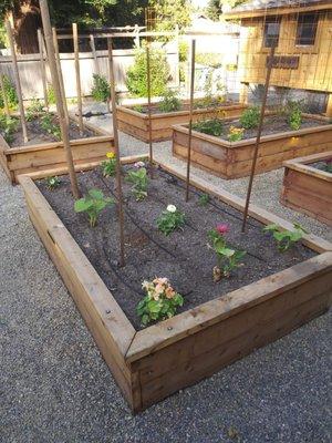 Planter boxes