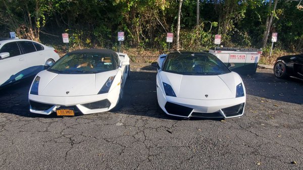 Lamborghini gallardo