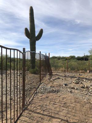 The beginning process of our fence!