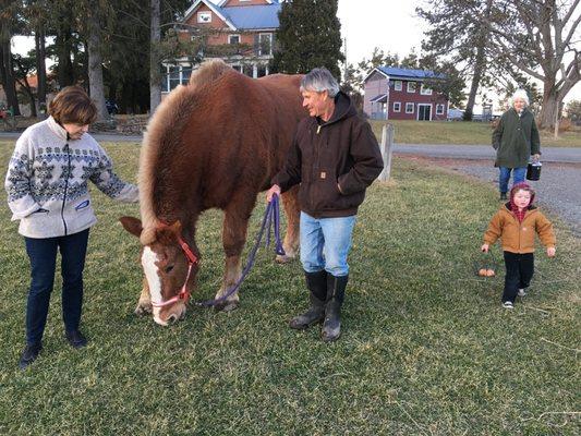 Fun at RoseBarb Farm