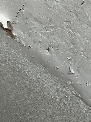 My ceilings since the year of 2022 has been excessively leaking, and only being patched up at least four times!