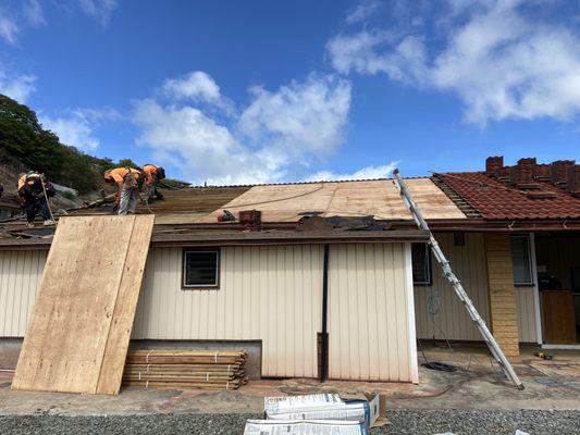 Tiles are placed around the roof to even out weight load on it. CDX plywood is being installed.