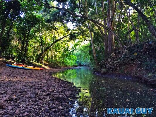 Exploring Kauai by ground AND water. Come hike with Kauai Guy.