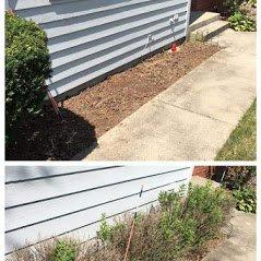 Bush Removal