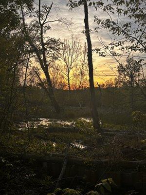 Woodman Fen