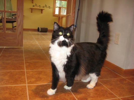 A guest taking a walk around, the playroom is in the background.