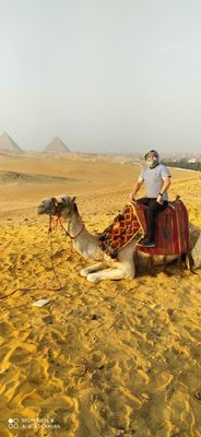 Camel ride at Giza pyramids