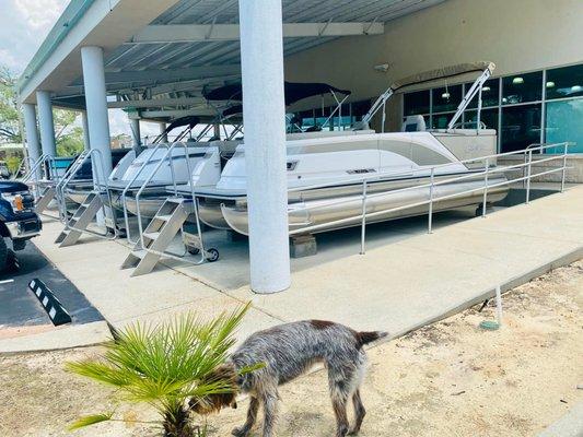 SilverWave & South Bays under our awnings...nice and shaded pontoon shopping!