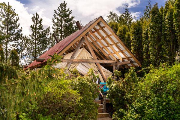 Glamping Lodge nestled in the trees