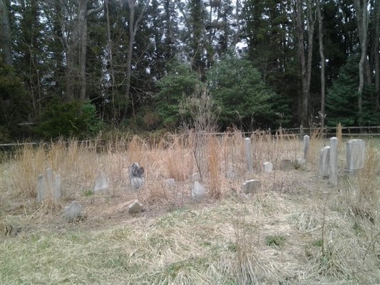 The Deakyne family cemetery.