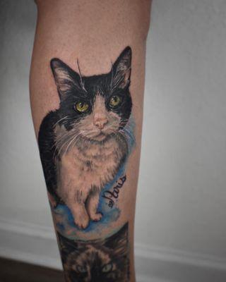 realism cat by jaclyn