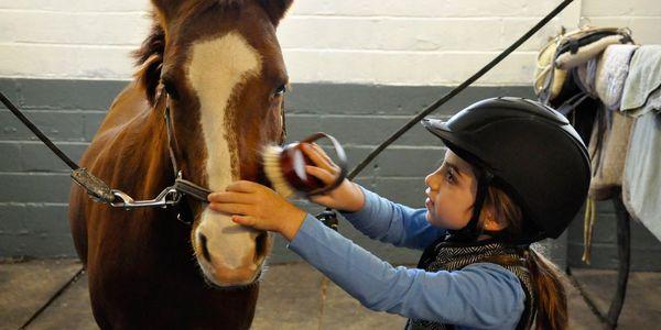 Student Learning Horsemanship Skills (Spark - Hamel)