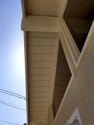 Termites around the windows, gone and wood replaced along trimming.