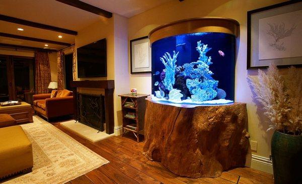 We build high end custom aquariums.