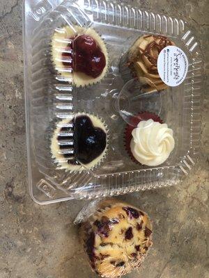 Mini cheesecakes, Berry muffin, Cupcakes