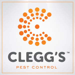 Clegg's Pest Control - Southport