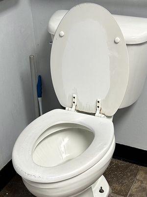 The floor in the gym, especially on the purple outdoor carpet, looks like this toilet seat in their bathroom.