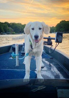 Canine Lake Lodge