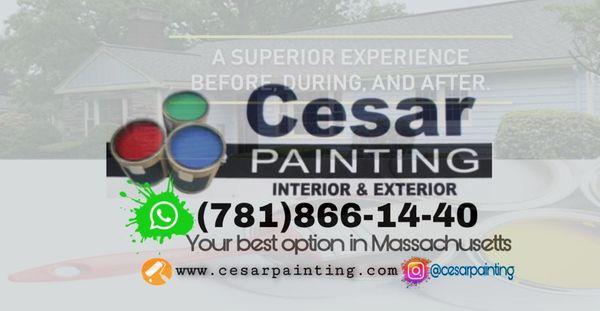 Cesarpainting2021@gmail.com Contact us now