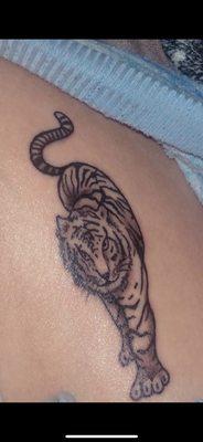 my tiger!!!