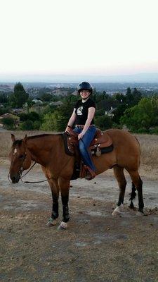 Rawhide (the handsome horse pictured) is a retired reining champion, who is now living the good life as a rockstar lesson horse.