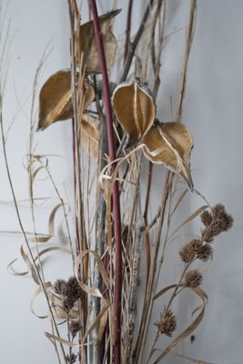 #milkweed #arrangement #driedflowers #burlap #redosier #homedecor #interiordesign #bouquet #driedflowerarrangement #wildflowers #wild