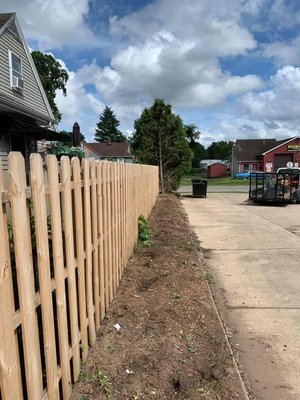 Daily Grind Stump Removal