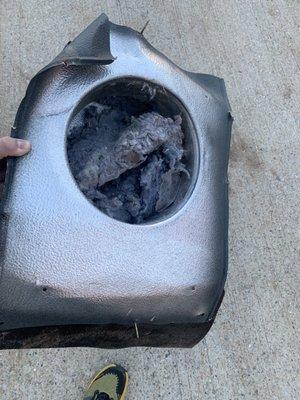 The fire hazard lint buildup in the dryer vent. Thank you for catching this!