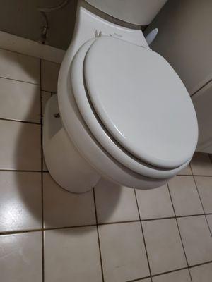 Terry sealed the toilet to the floor and got a new toilet seat lid.