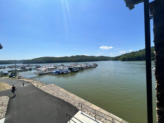 View from outdoor dining