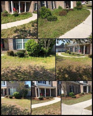 Cleaned up this yard and it turned out great!