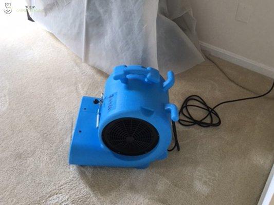 Water Damage Restoration