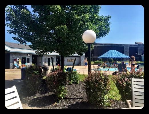 Pool view from the snack bar.