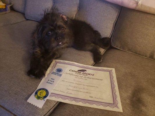 He worked really hard in class to earn that certificate...exhausted