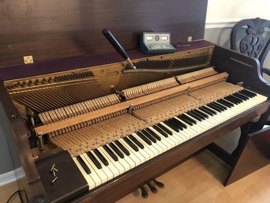 Frank tuning our piano meticulously !